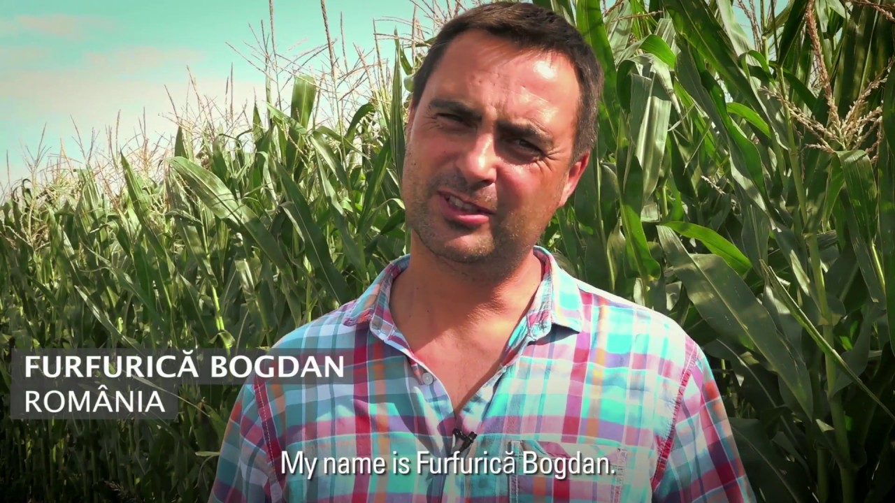 Growing Corn in Romania with Drip Irrigation: Netafim Customer Testimonial