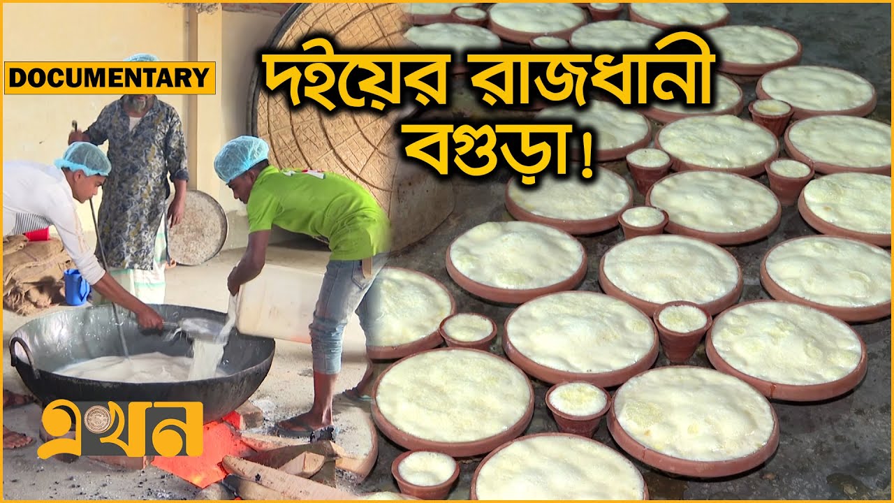 যেভাবে তৈরি হয় বিখ্যাত বগুড়ার দই | BOGRA YOGURT Documentary | Bogura Doi | Ekhon TV