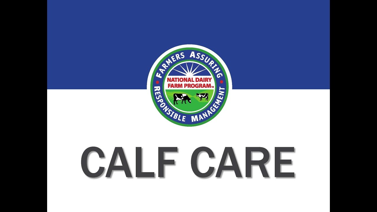 Calf Care