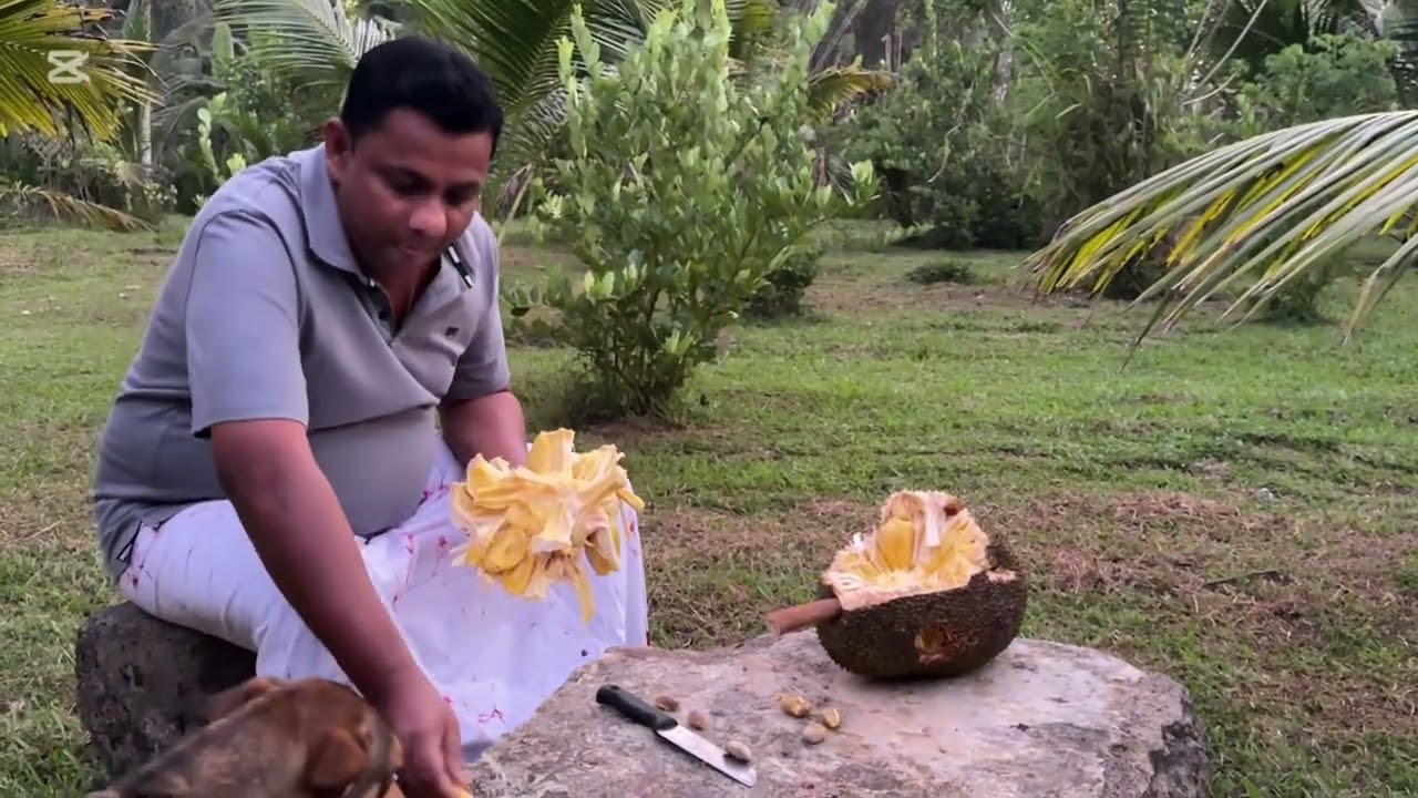 සත්තුත් සමග ගොවිපලේ  ජීවිතය...❤️❤️❤️🥰🥰