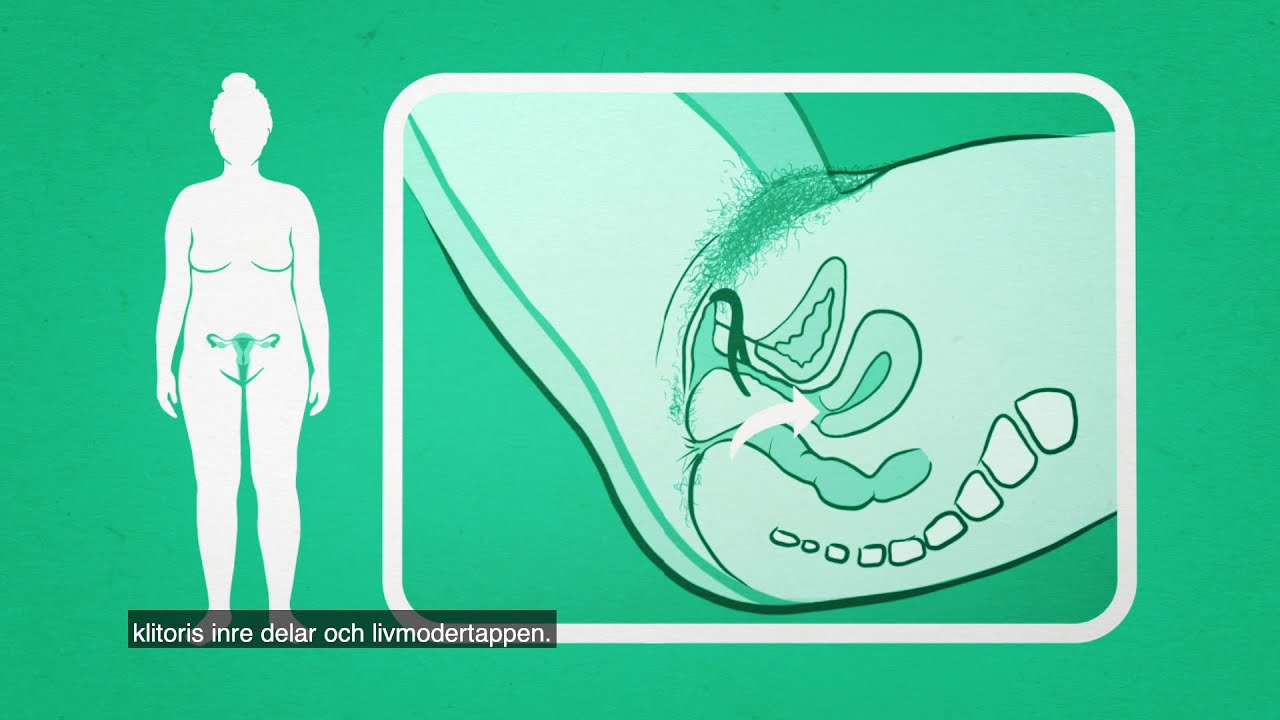 อวัยวะเพศหญิง | RFSU informerar om vulva vagina / kvinnans k&ouml;n p&aring; thail&auml;ndska