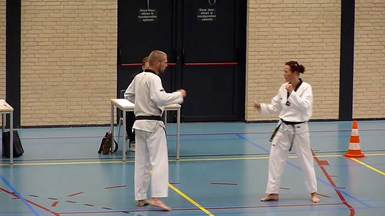 Regien - 2e Dan-examen