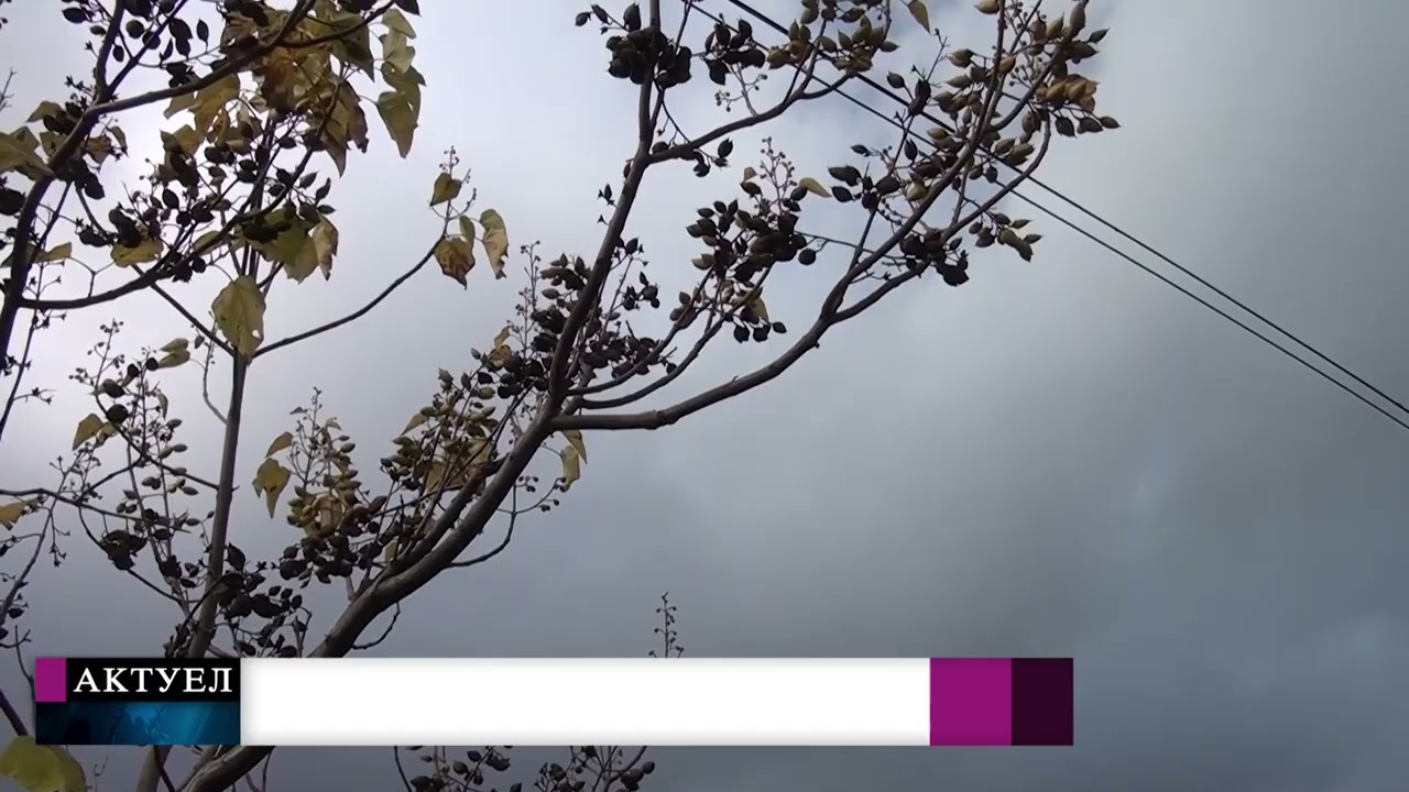 Tv Tera Bitola   UHMR   Obilni vrnezi i zaladuvanje na vremeto 24 03 2026