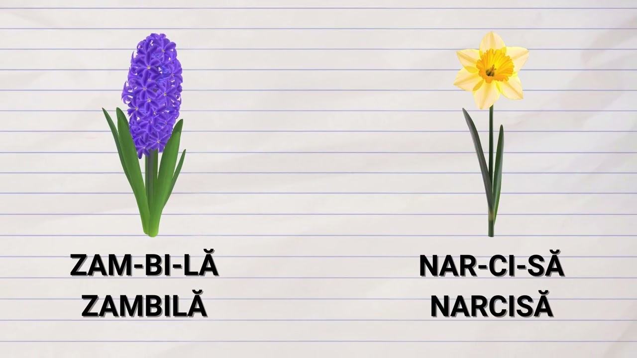 Anotimpul Primăvara   Flori de primăvară