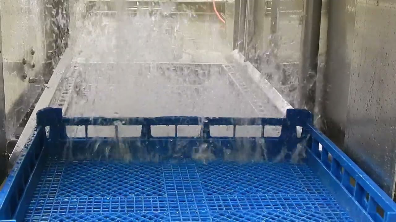 Wash Motor   Low Pressure