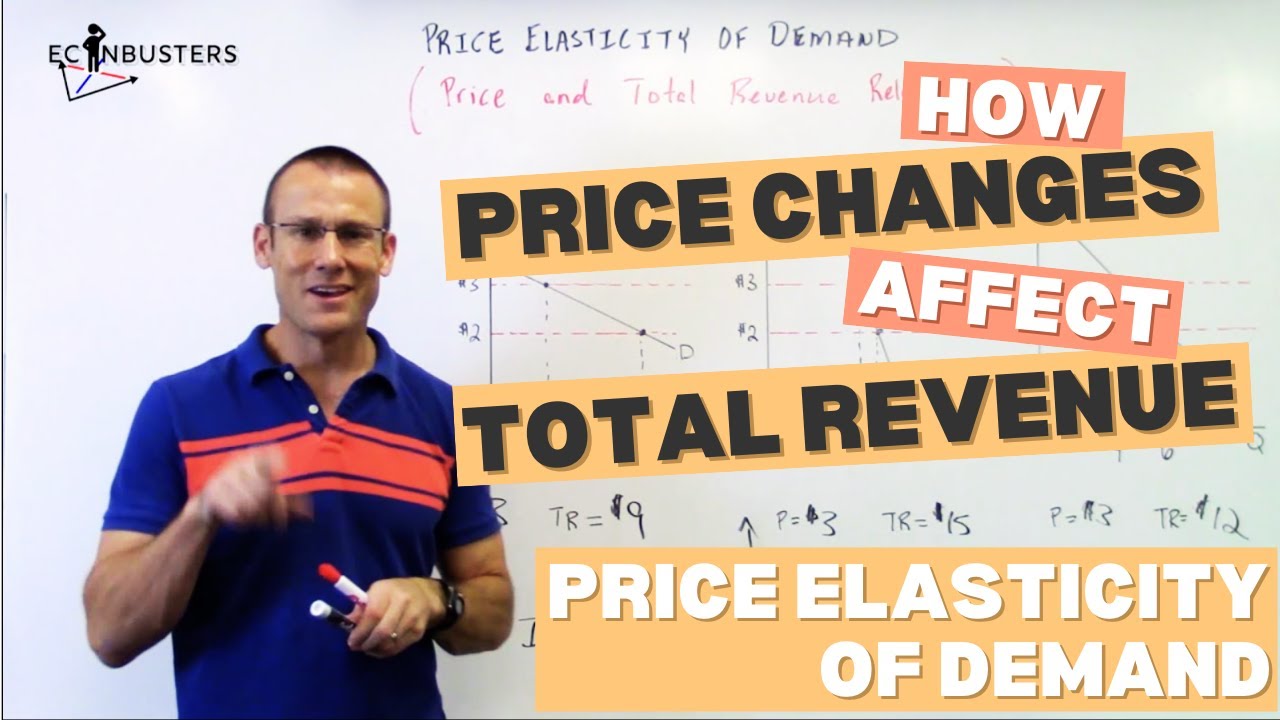PED: How Price Changes Impact Total Revenue