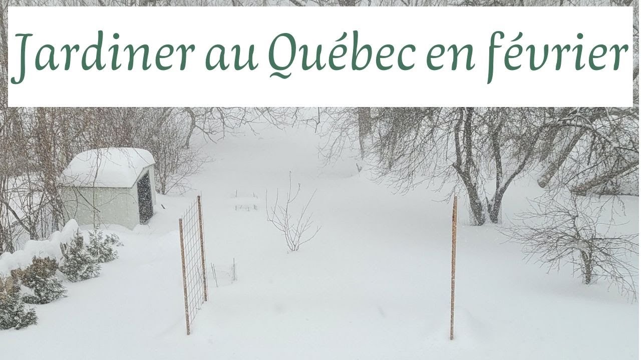 Jardinage en février Québec