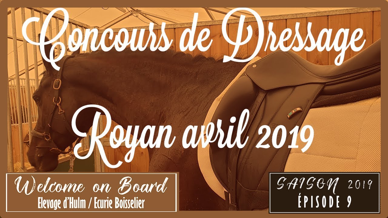 🍾 Les Jeunes Chevaux Sont de la Partie 👶. [Concours de Royan] Avril 2019