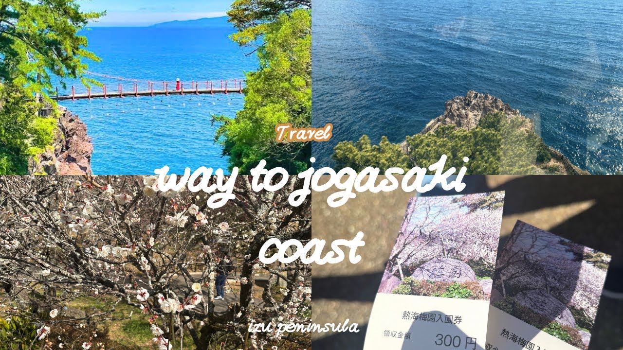 Exploring Izu Peninsula & Atami Plum Garden| A Beautiful Japan Travel vlog #japan #izu #atami