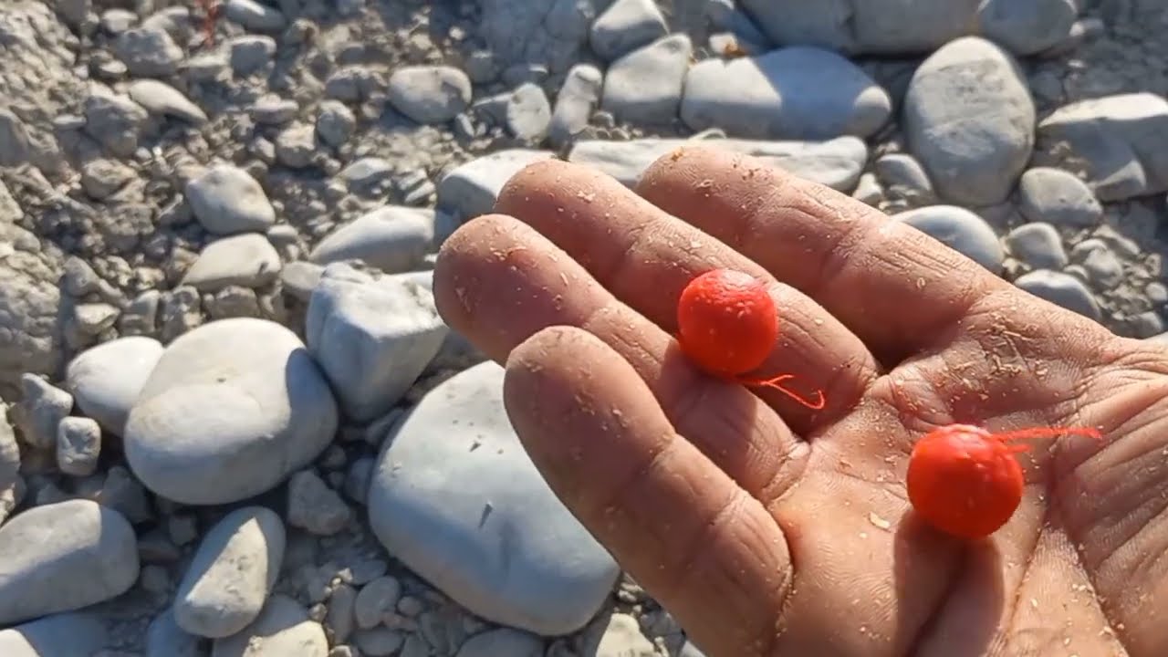 2022.8.26 Mingəçevir su ambarı,Мингaчевирское водохранилище,Mingachevir reservoir fishing.