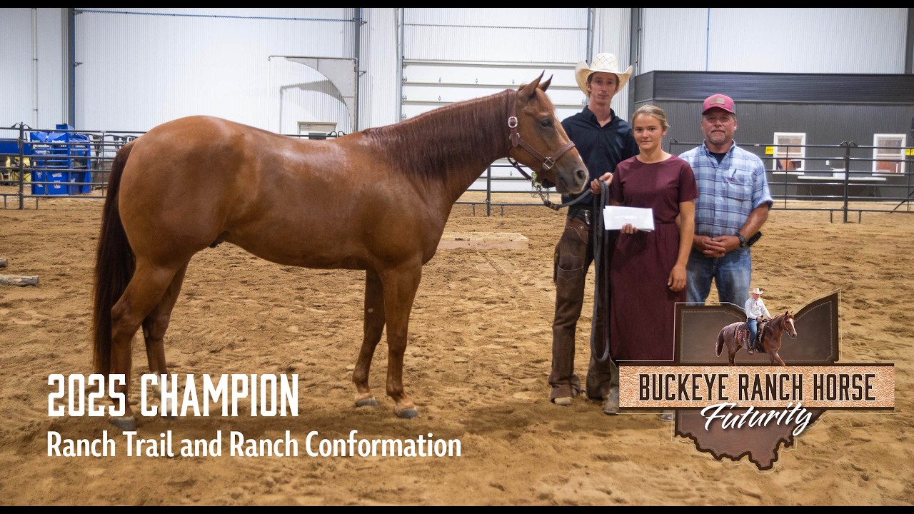 Dunit Whiz Cash | 2022 AQHA Gelding | Hip 315 Triangle Sale  | Buckeye Ranch Horse Futurity Champion