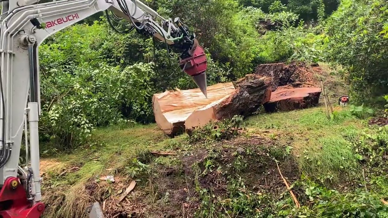 Takeuchi Destroys Massive Log Cone Splitter 