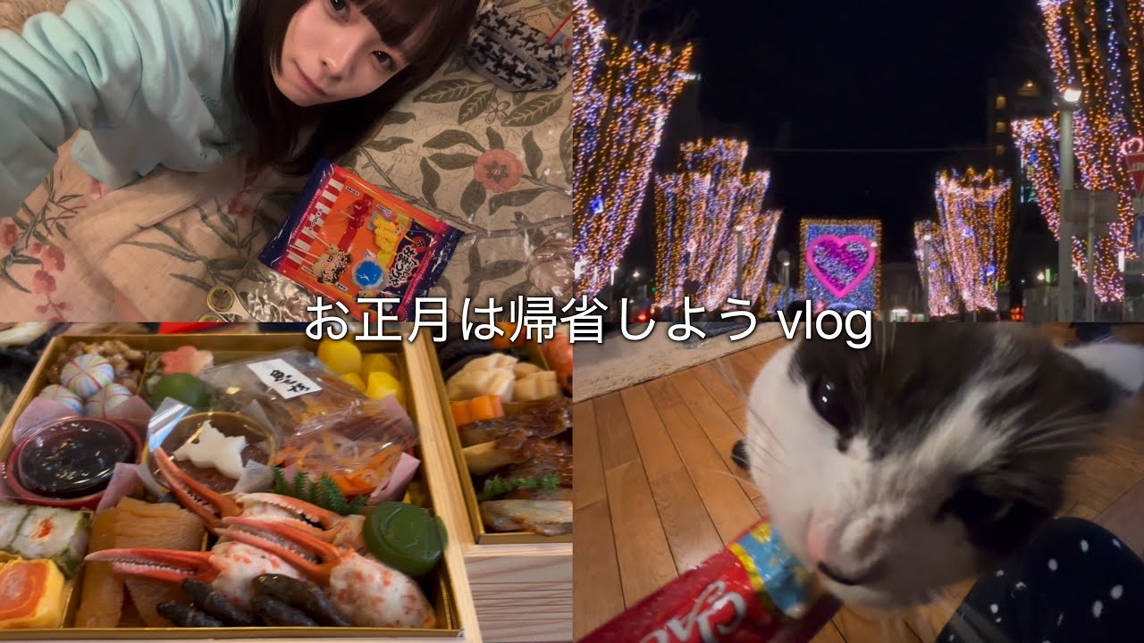 お正月は帰省しようvlog･:*+.