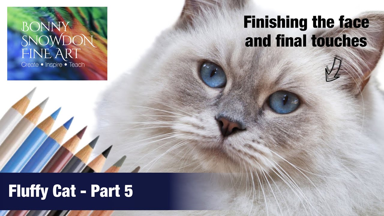 Drawing a Fluffy Cat with Coloured Pencils | Part 5 | Whiskers, the Face and Final Touches