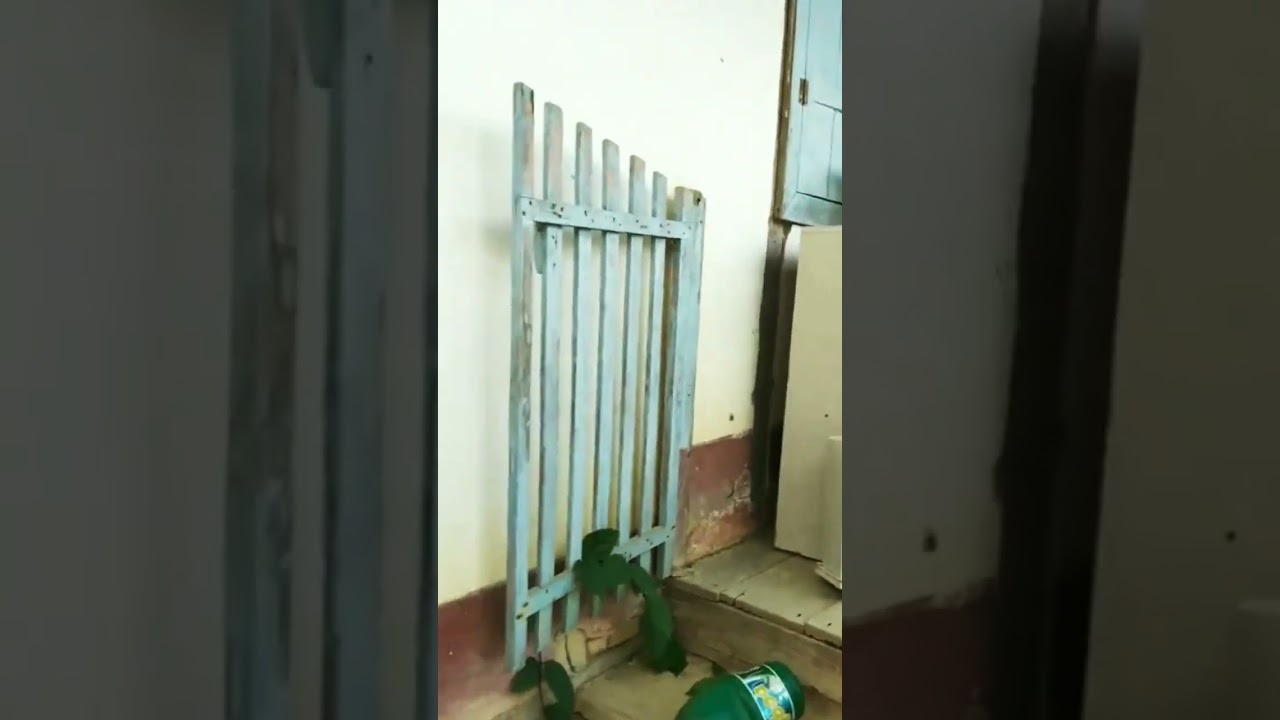 Uma casa abandonada #casa #abandonada #antiquidade