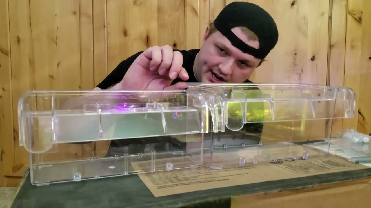 Aquarium hang on Breeder box battle Ista vs Fluval!