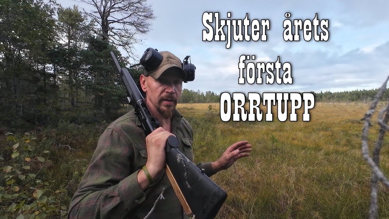 Skogsfågel premiären 2025 | En snabbvisit i skogen