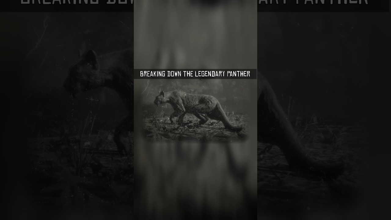 Breaking Down The Legendary Panther #rdr2 #rdr #reddeadredemtion2 #legendary #panther #breakdown