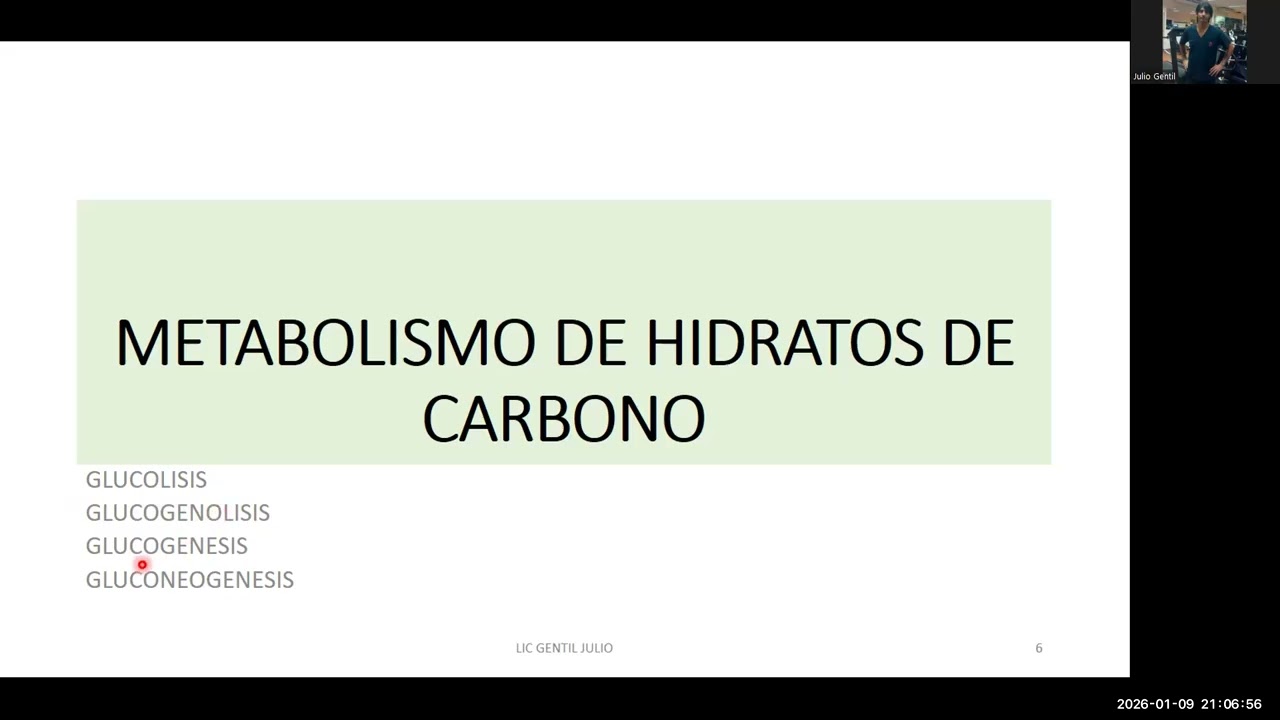 Metabolismo I