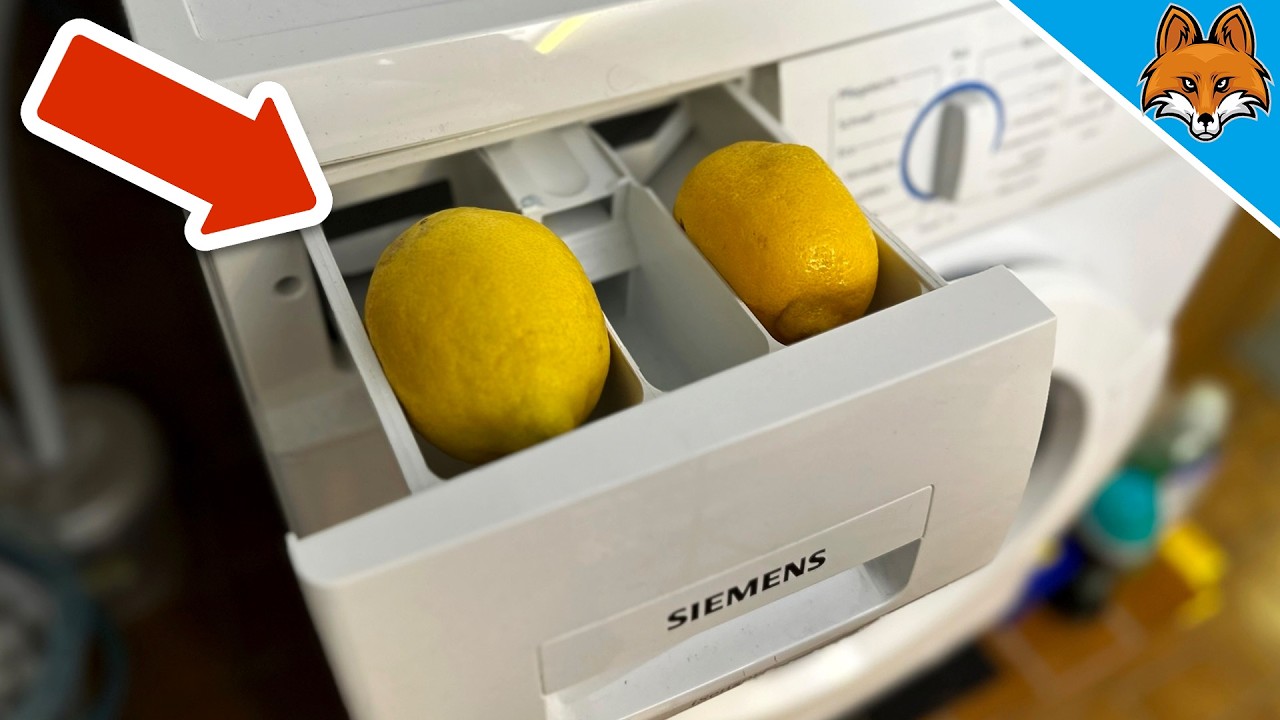 9 Tricks mit Zitronen die fast NIEMAND kennt💥(Aber JEDER kennen sollte)🤯