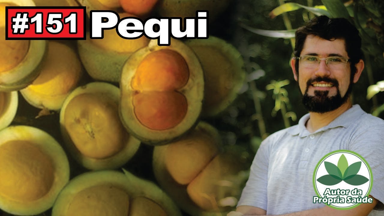 Autor da Própria Saúde - Pequi [úlceras, colesterol, hipertensão, antibiótico, inflamações, câncer]