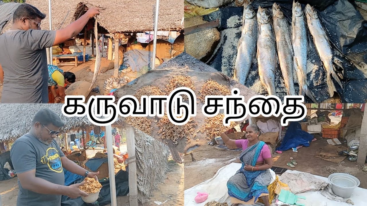 மயிலாடுதுறை Special கருவாட்டு சந்தை/Exploring Karuvadu Sandai