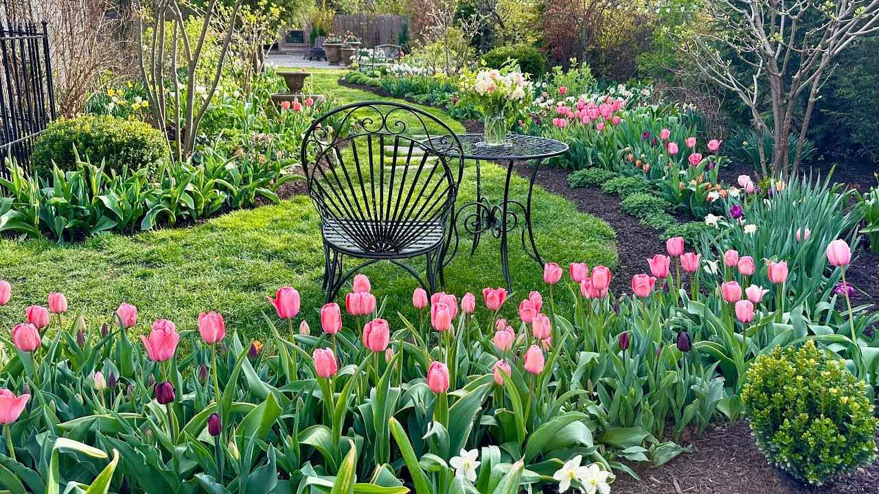 Spring Garden Tour / Garden Walk n’ Talk in Mid-April / Daffodils, Tulips, Hyacinths, Spring Pots