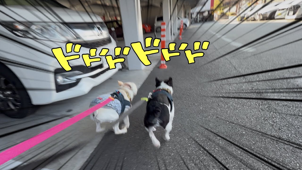 内耳炎再発から半月…どれだけ回復したのか確認してみたらｗｗ