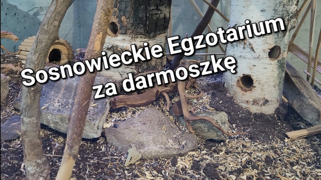 Całkiem nowe Egzotarium w Sosnowcu. #nature #zoo #sosnowiec 