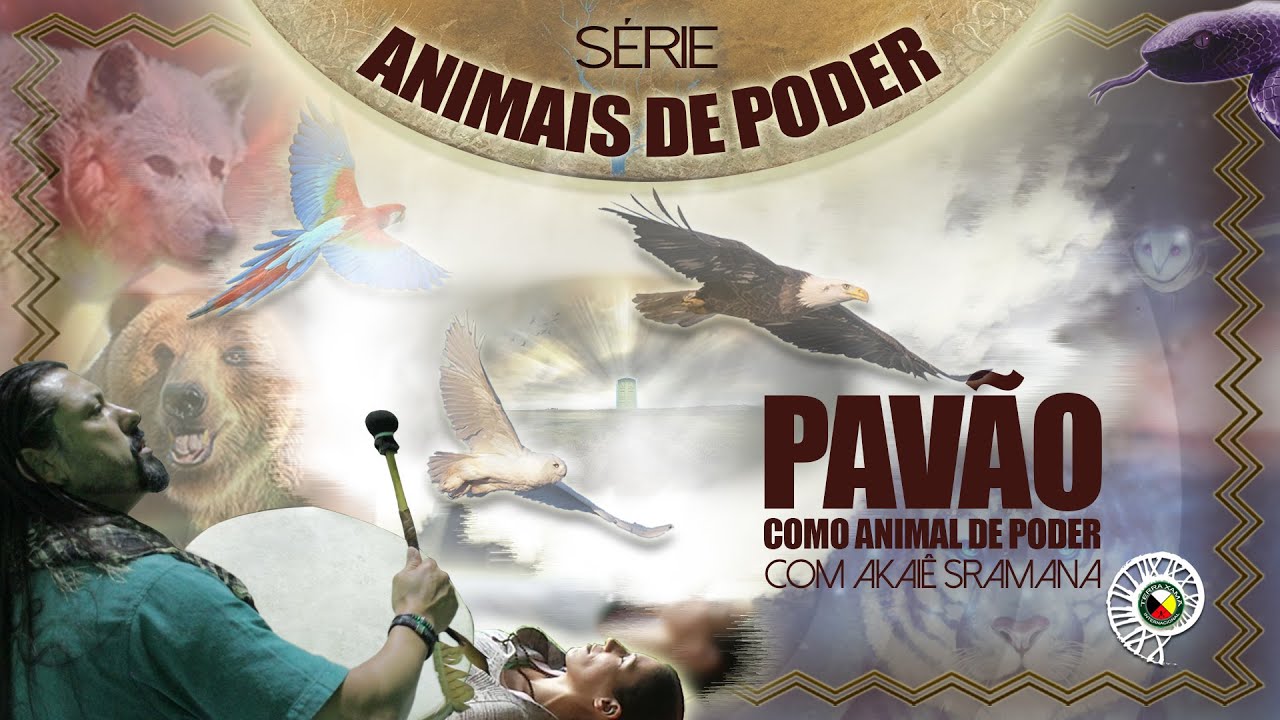 Pavão » Como Animal de Poder » Akaiê Sramana