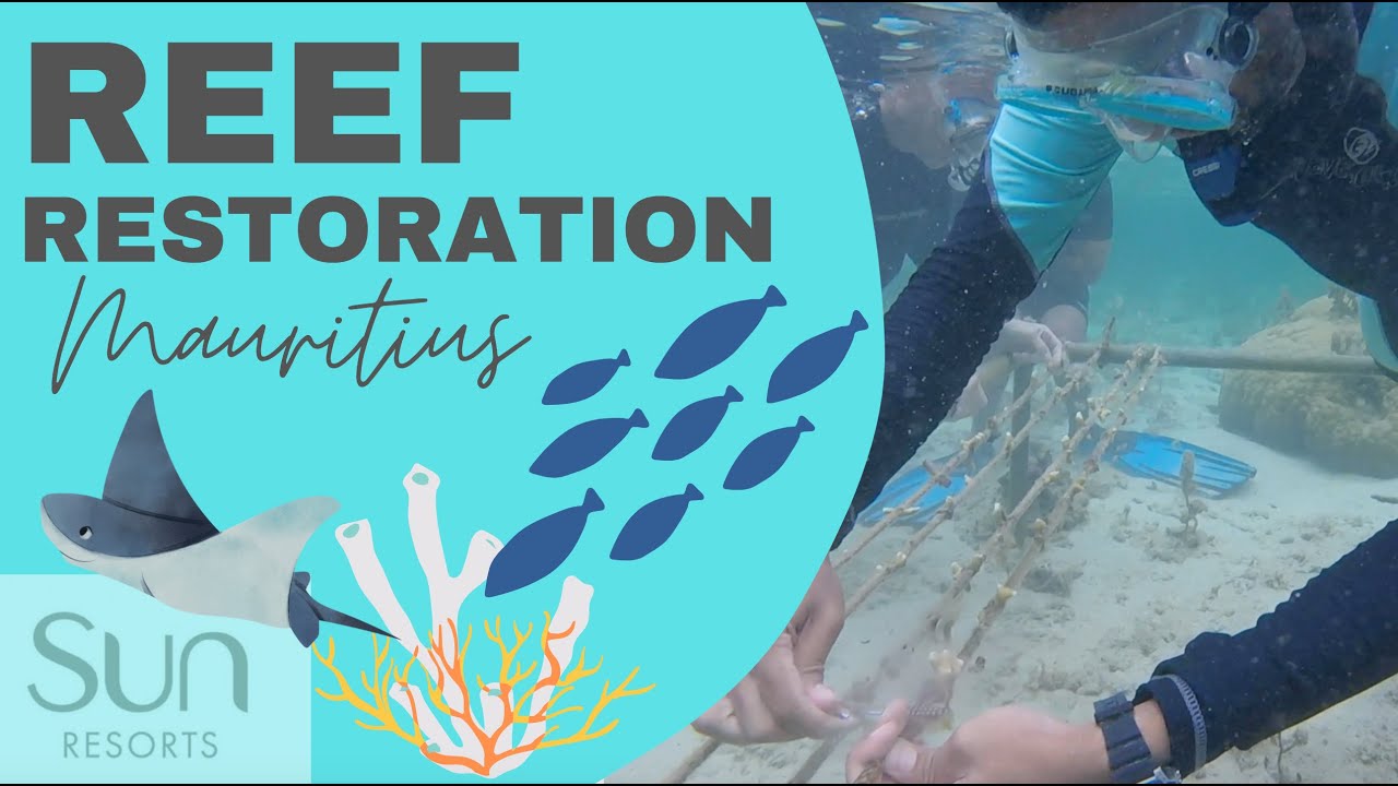 Reef Restoration Mauritius | Sun Resorts