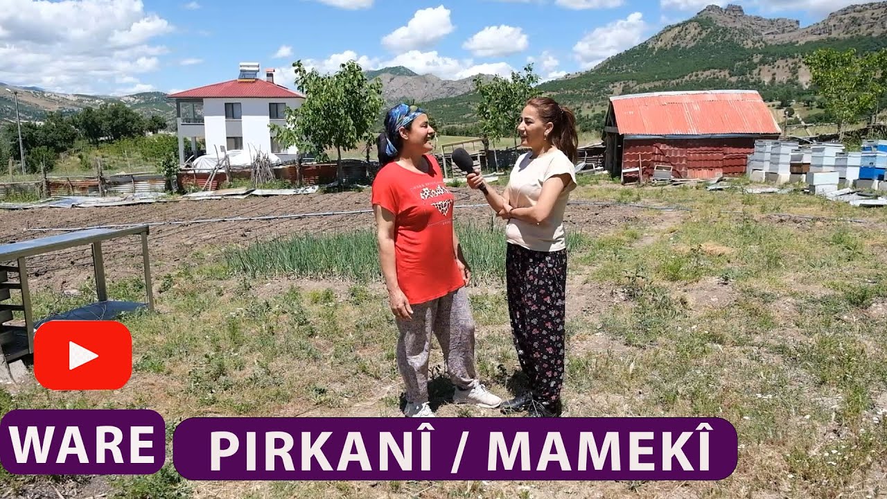 WARE - PIRKANÎ / MAMEKÎ (DÊRSIM)