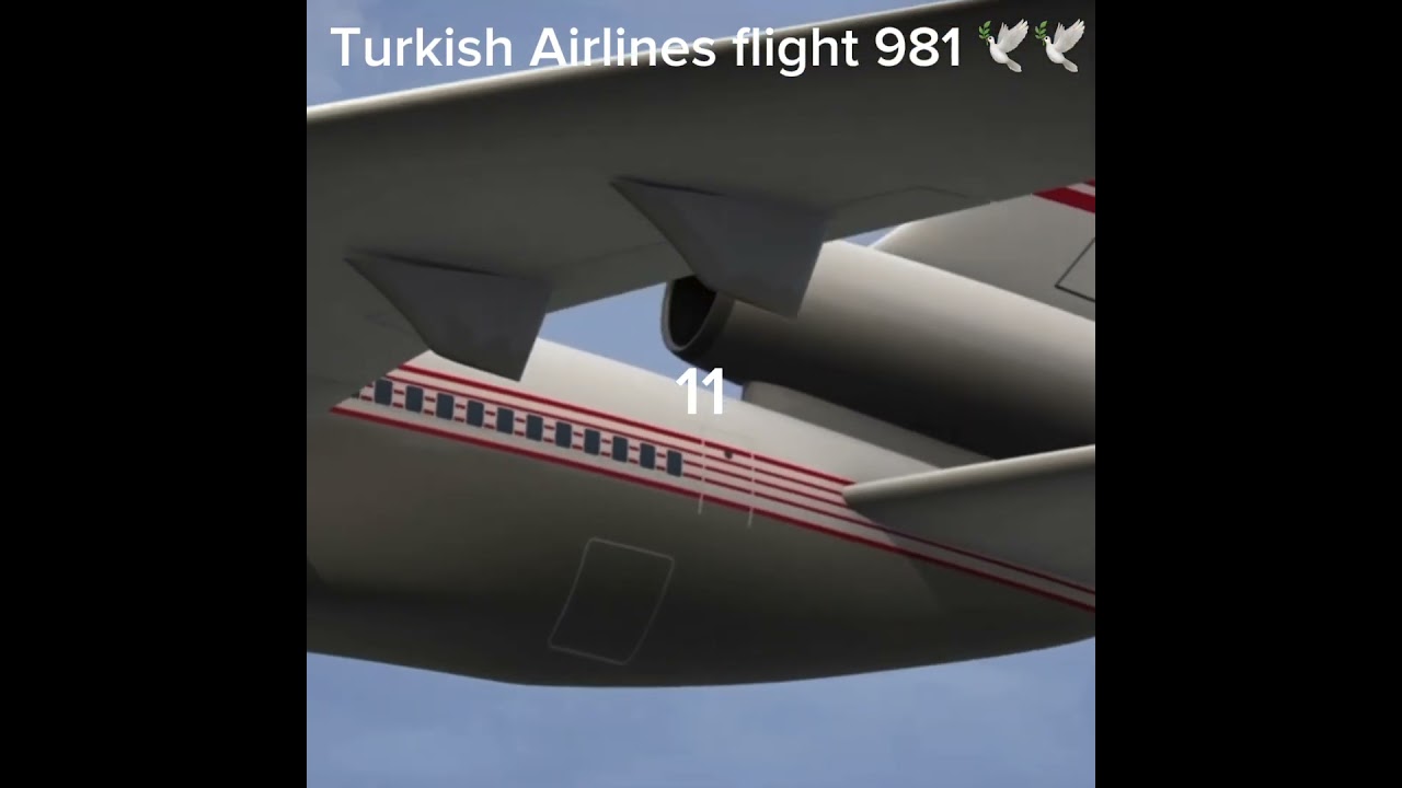 Turkish Airlines Flight 981  #aviation #turkishairlines #crash #plane #dc10