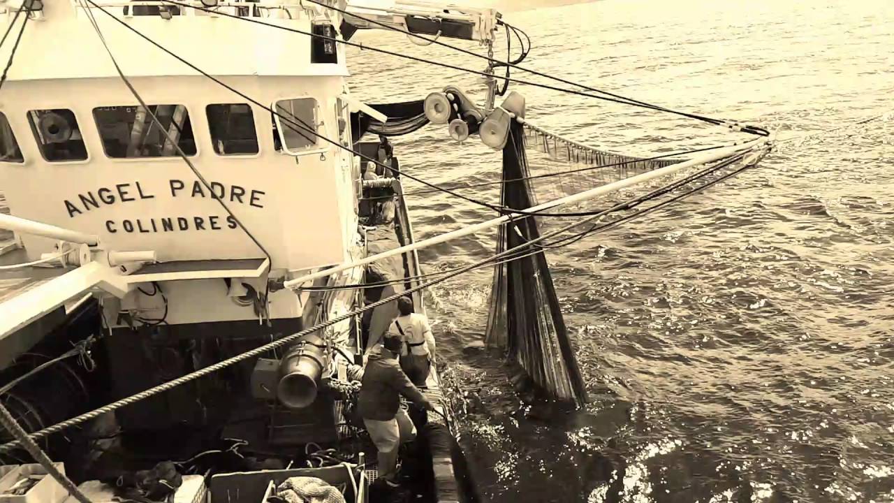 Pesca de anchoa del cantabrico  angel padre colindres