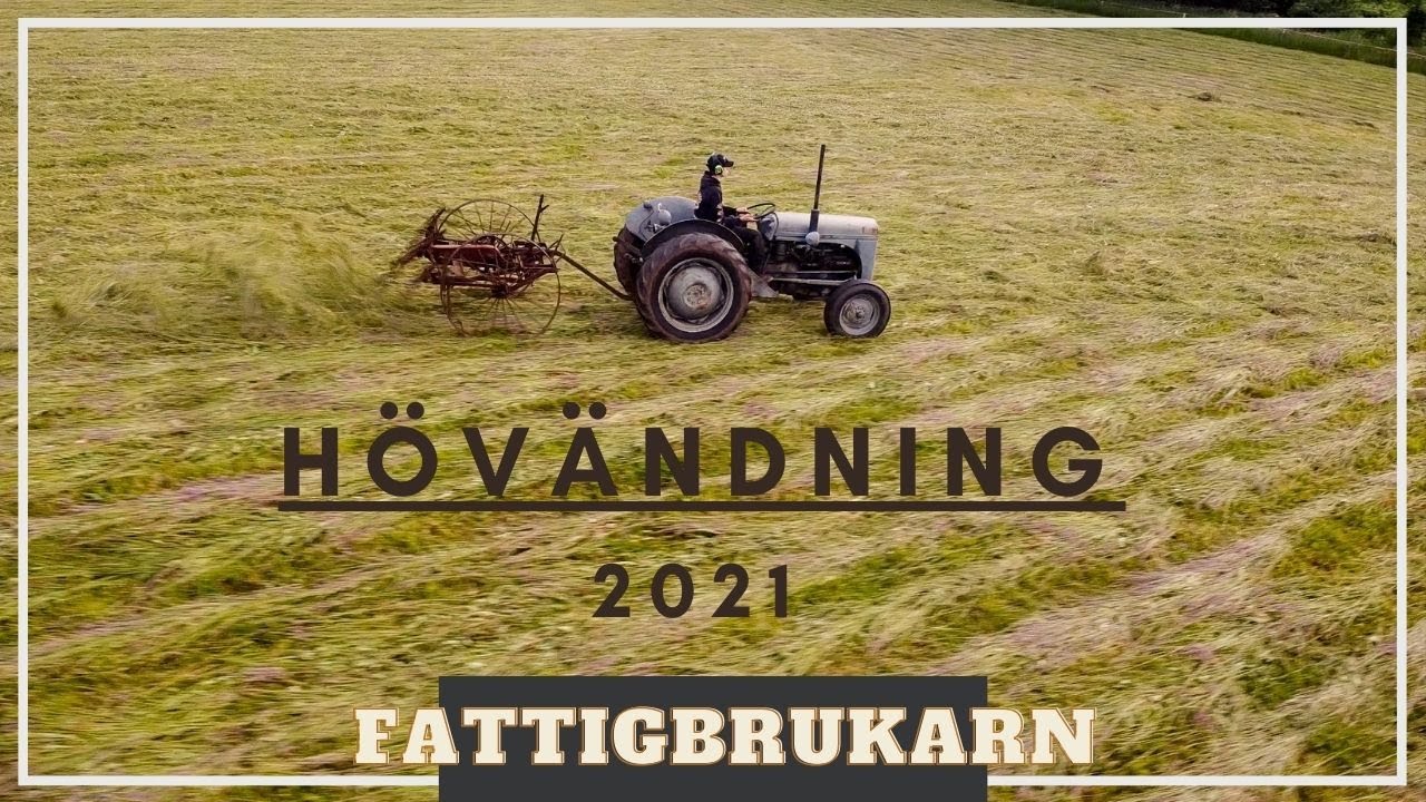 Hövändning med Grålle & hösprätt / Hay harvest in Sweden