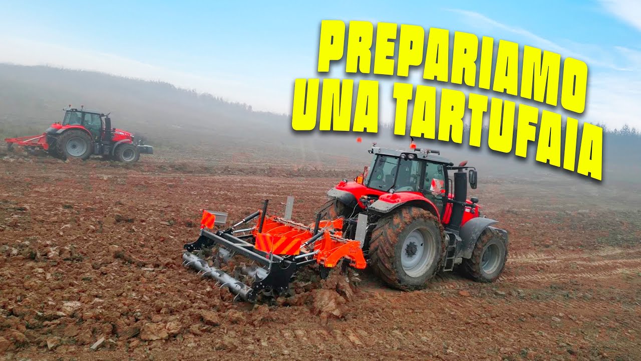 RIPUNTATURA IN COLLINA | prepariamo una tartufaia dopo il livellamento con la ruspa