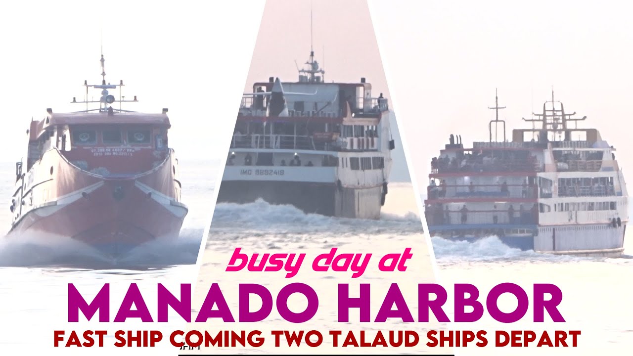 Busy Day at Manado Harbor Fast Ship Coming Two Talaud Ships Depart #traveling #passengership #ship