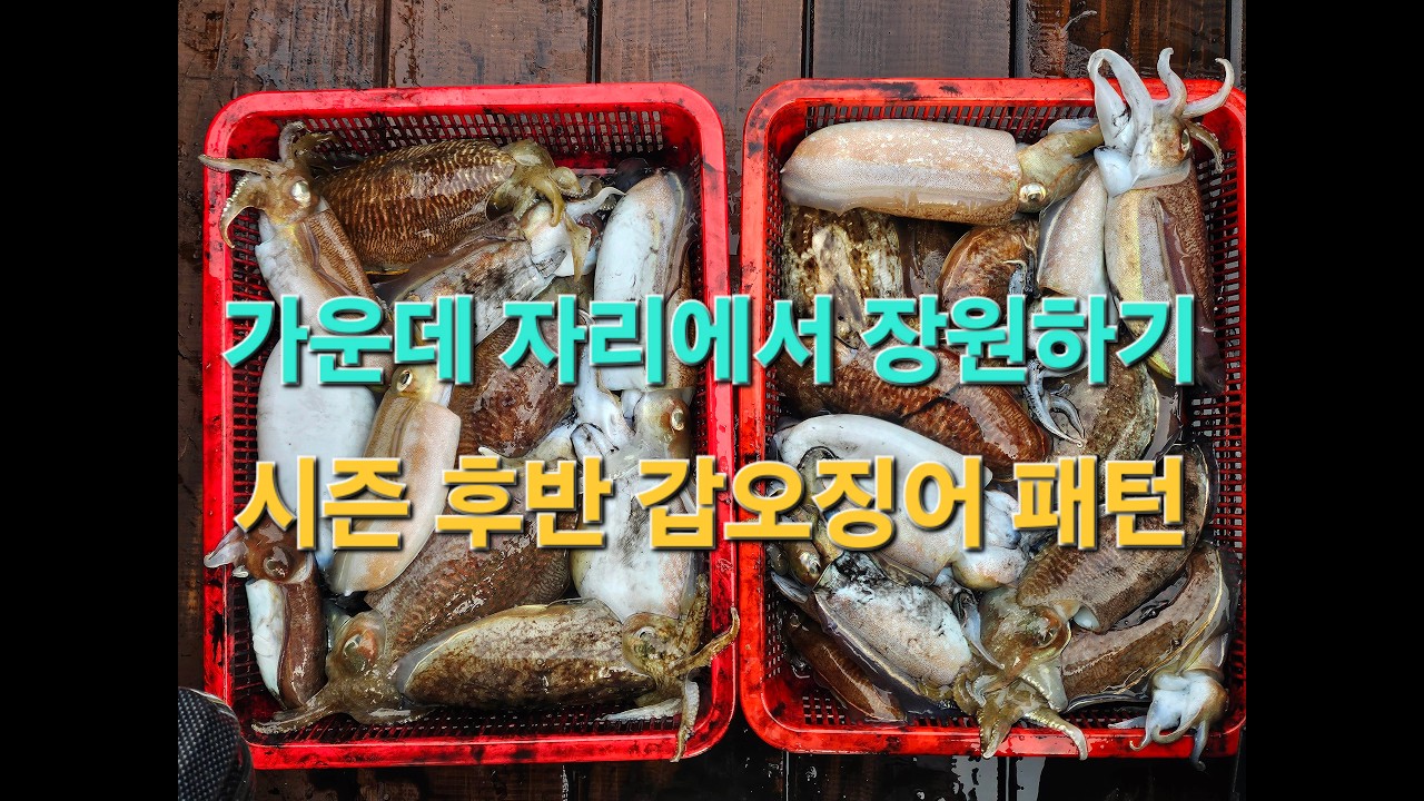 사리물 가운데에서 장원하기