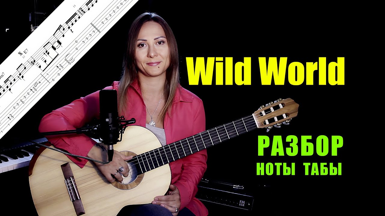 Wild World - Cat Stevens | Разбор на гитаре
