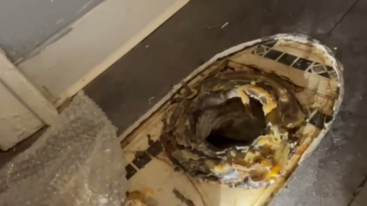 Toilet Flange Repair