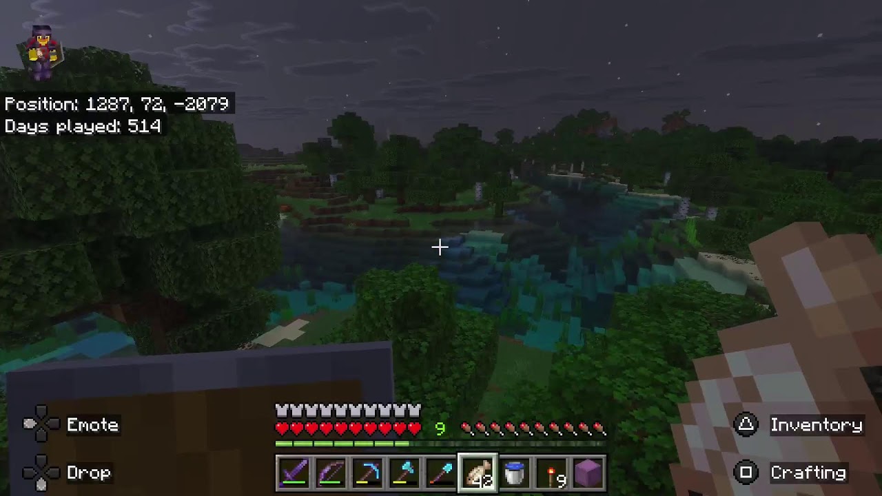 My Minecraft World