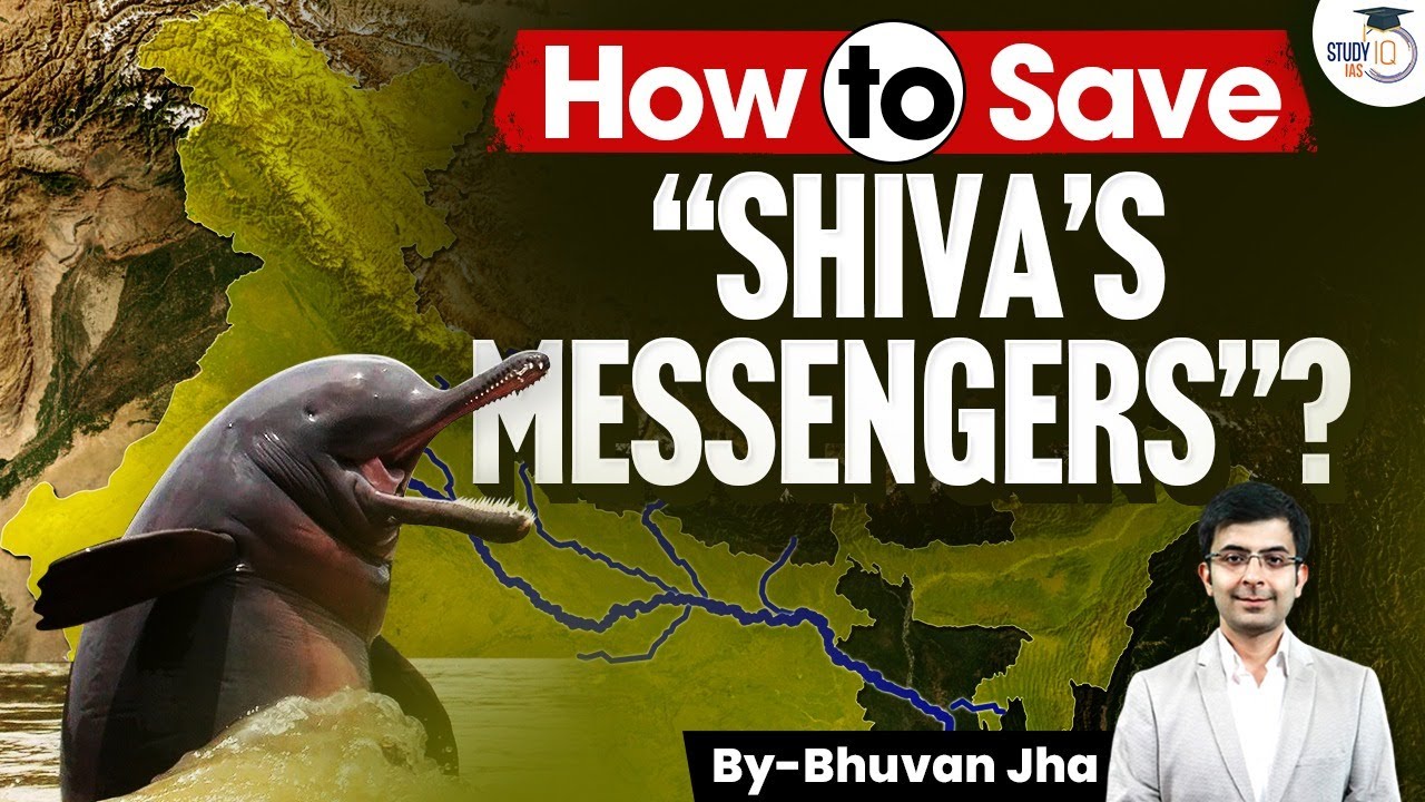 Why Ganga Dolphins Are Dying? | How To Save Them In Bihar? | Explained
