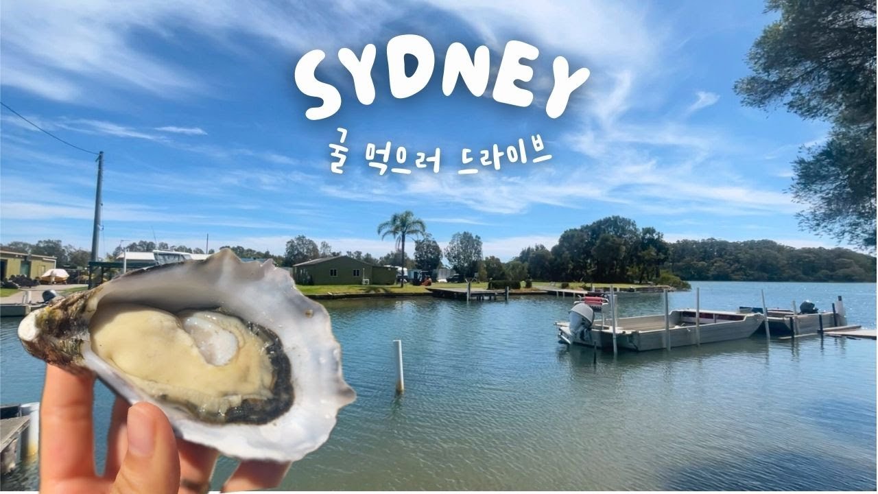 VLOG🇦🇺 Oyster Farm🦪 | Drive to South Coast🚘 | Beach Picnic 🏖️ | Korean Soup Place🥘 in Sydney