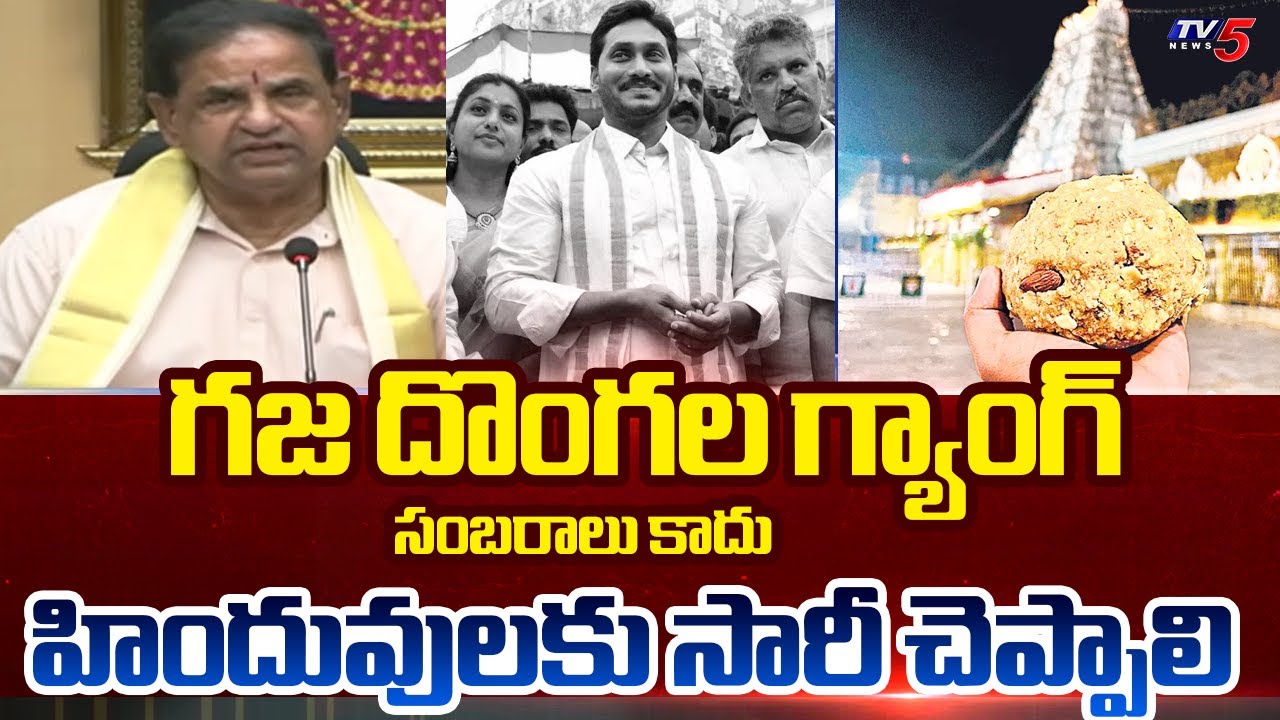 TTD Chairman BR Naidu Slams YCP Over Celebrations On SIT Report | Jagan || TV5 News