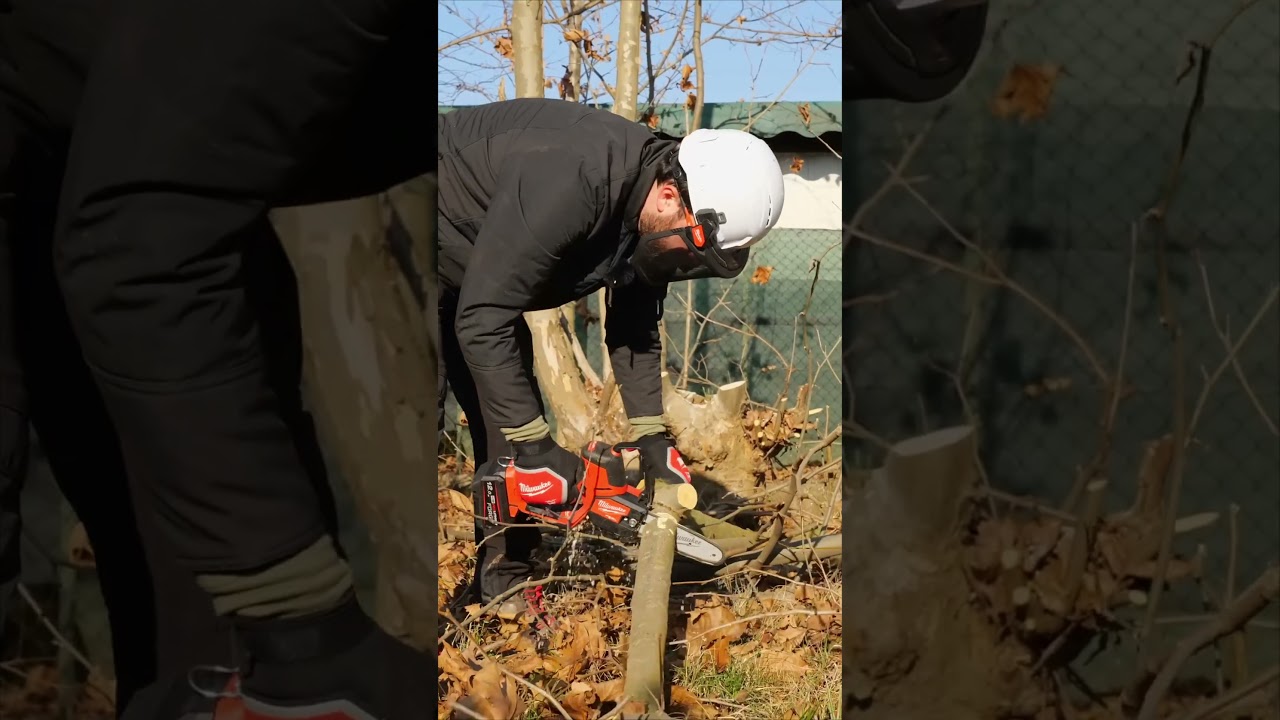 ⚠️ Non sottovalutare mai l'elasticit&agrave; del legno!