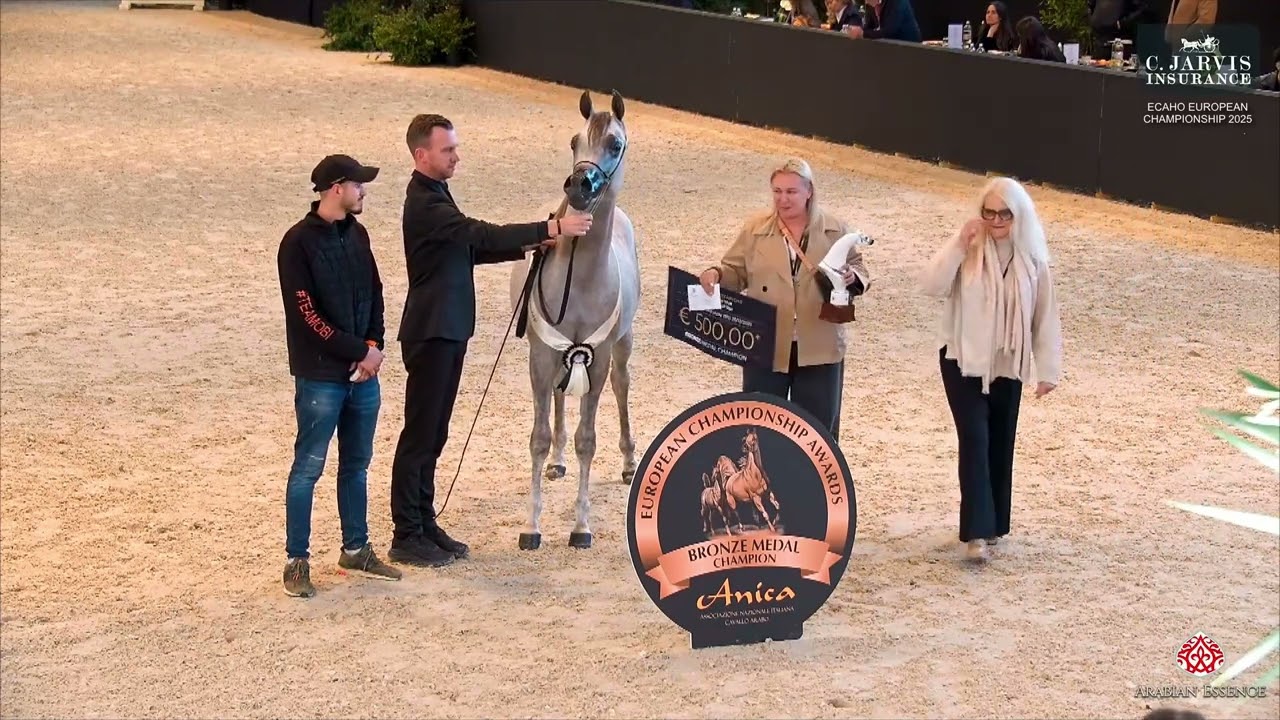 SABAR DA - BRONZE CH. at ECAHO European Championship 2025