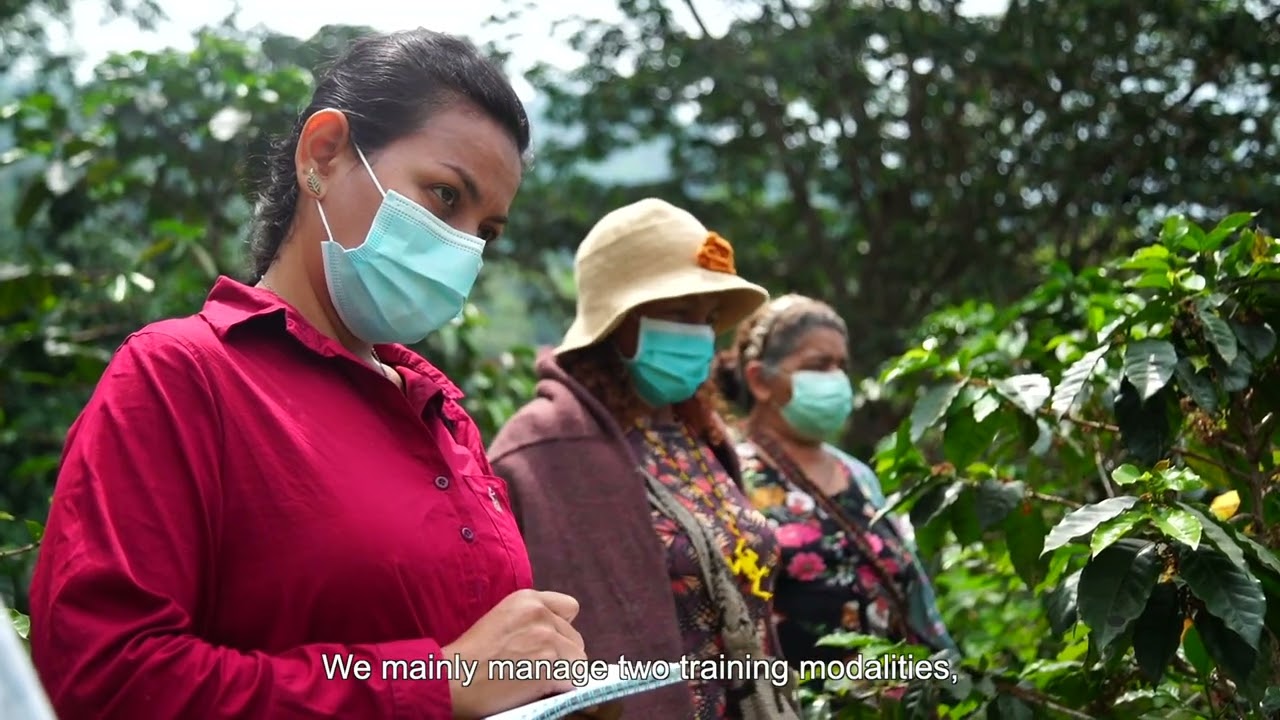 Improving livelihoods for coffee smallholders in Colombia - Part 1: On-Farm Trainings - English
