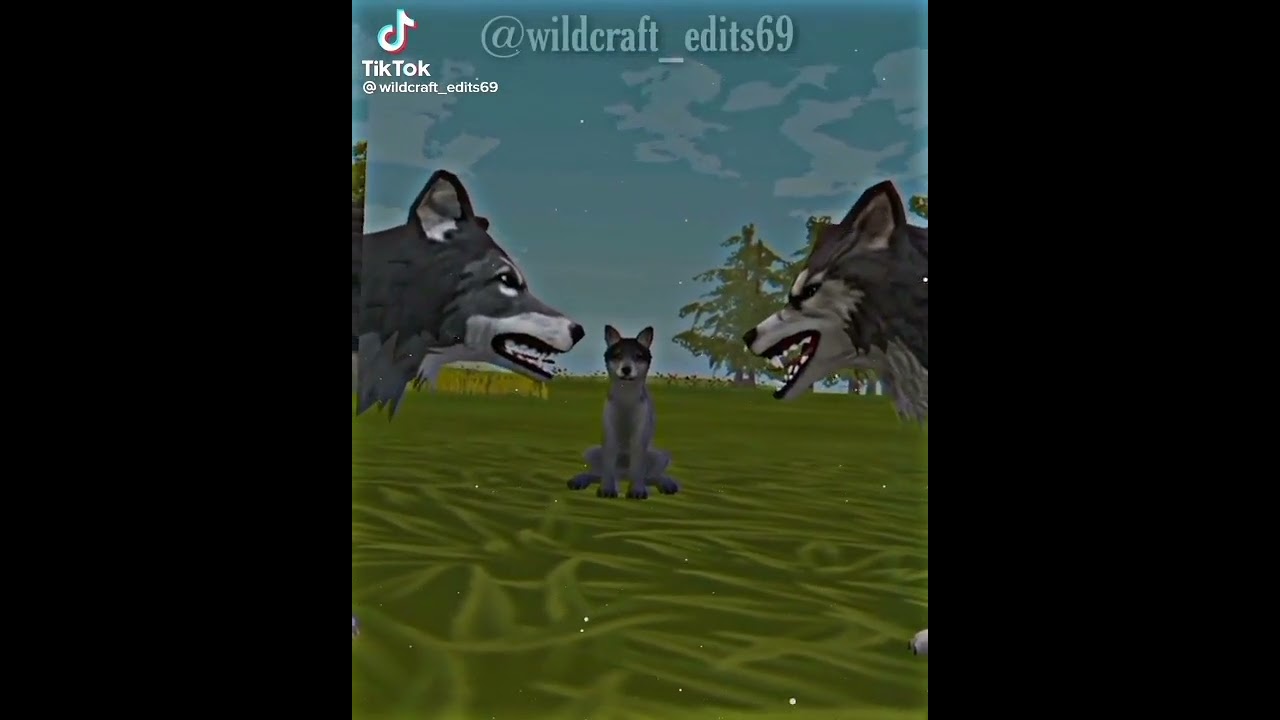 #Wilcraft