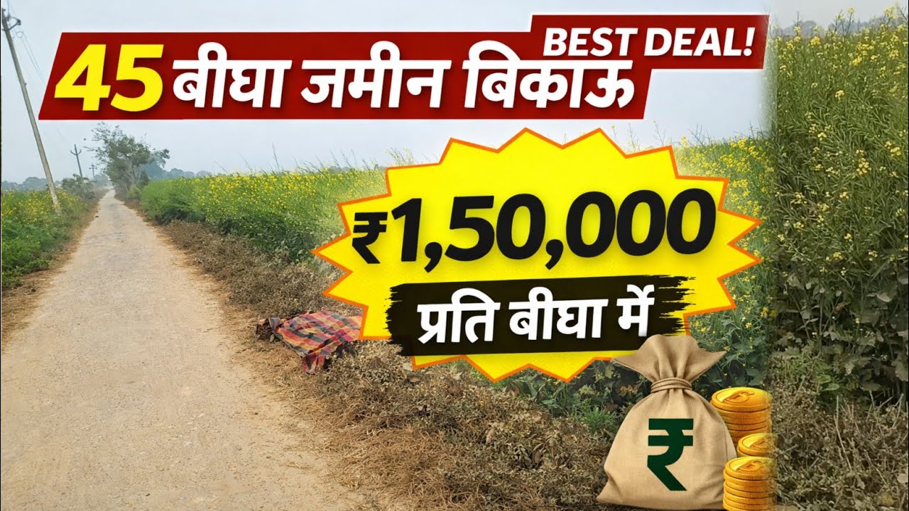 45 Bigha Agricultural Land for Sale in India @ ₹1,50,000 per Bigha | Cheap Farm Investment 2026 🌾