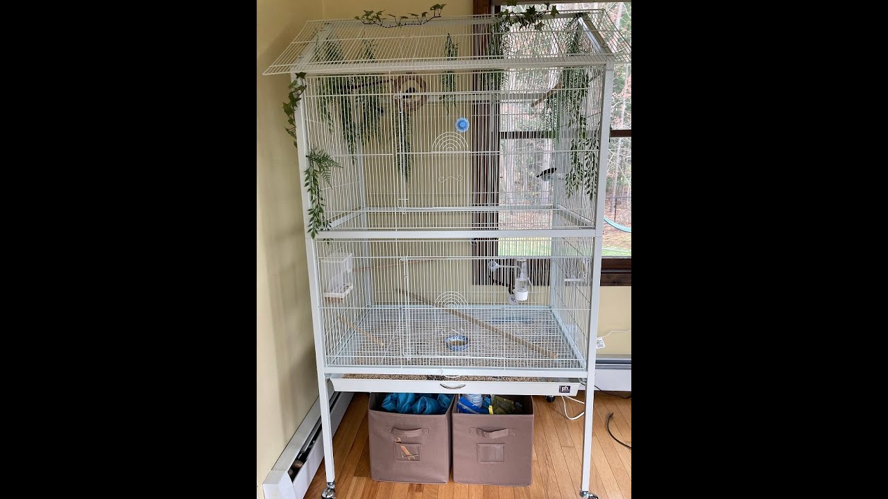 Prevue F030 Aviary - Flight Cage Review
